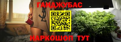 прущие крисы Кингисепп