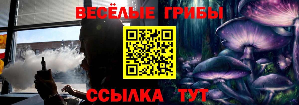 Галлюциногенные грибы MAGIC MUSHROOMS  Вход с VPN  купить  сайты  Краснознаменск 